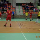haldwoajka 71